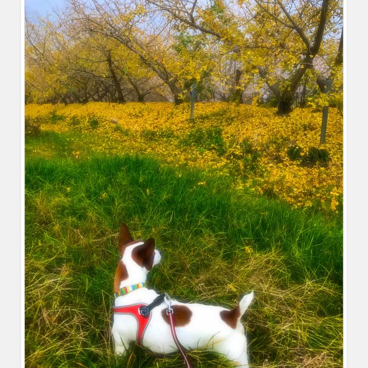 31f73e73 7695 44db b36f 2628032ffd39 1512037063097