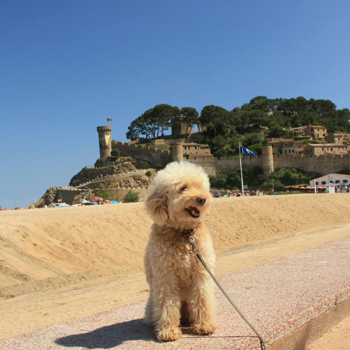 31f78339 882f 4f9f a877 35b0f971db49 1530188667970