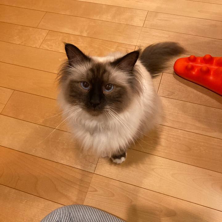 31f80b87 91ff 4543 9f59 8a312ce23aff 1594130836762