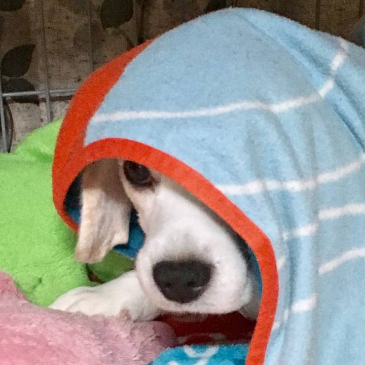 31f81e83 6ceb 40e1 9cc8 f5dcba447f3e 1556252521239