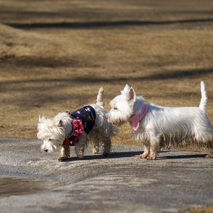 31f8368d 3afb 4623 af27 77957088dfa7 1515328683657