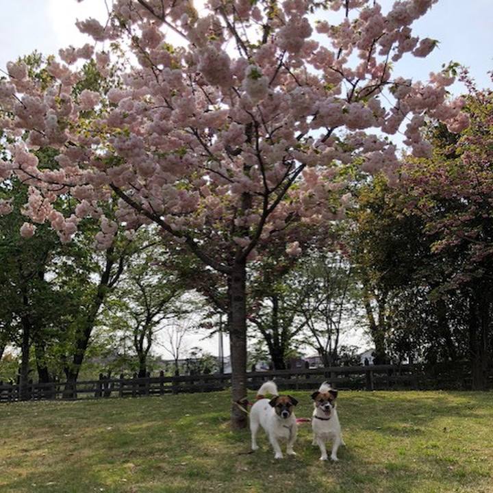 31f89b73 9148 404b b916 fdcff7904ba0 1555847477198