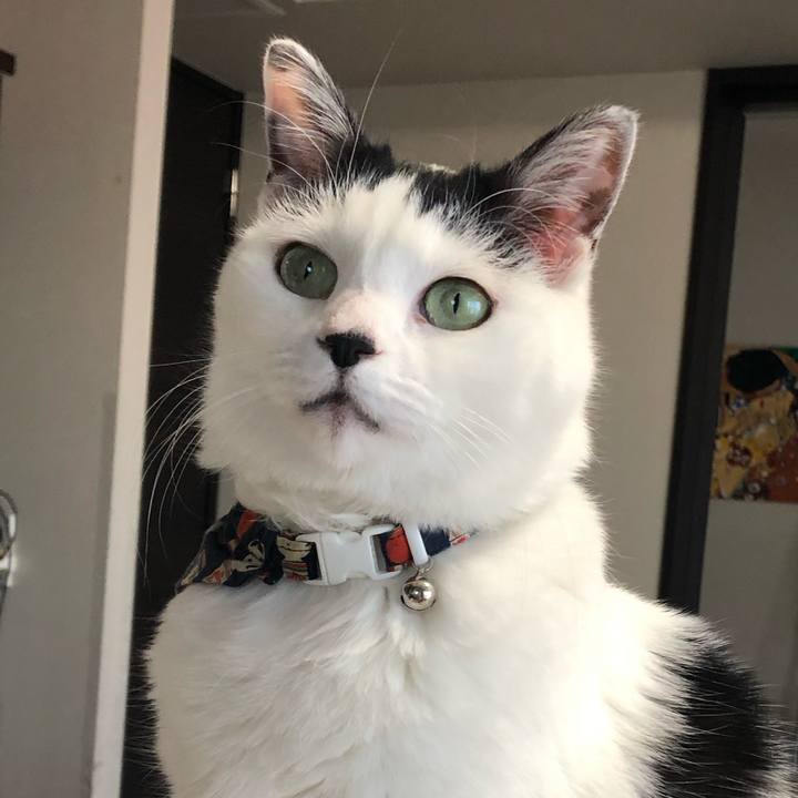 31f8eb32 d35b 418b 96e7 92924ad62299 1579476958373