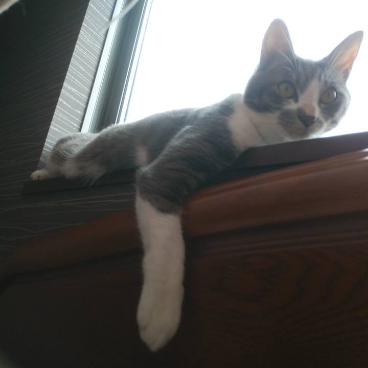 31f8f15a e907 4c9b 92ac 9855f0538deb 1594341815534