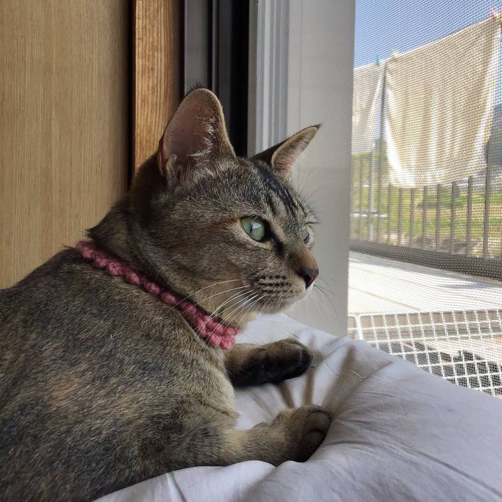 31f8fe9c d425 49fc 8935 4a525a420e7a 1588408495977