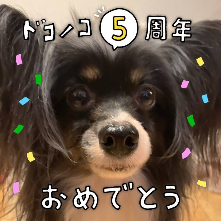 31f9002a 6a6a 47d6 82c1 5d86313af60e 1622854563117