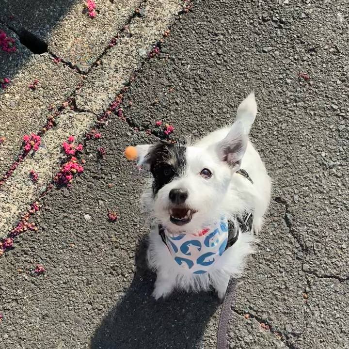 31f973df 3c4b 4885 9ee5 5716881f440b 1756508753899