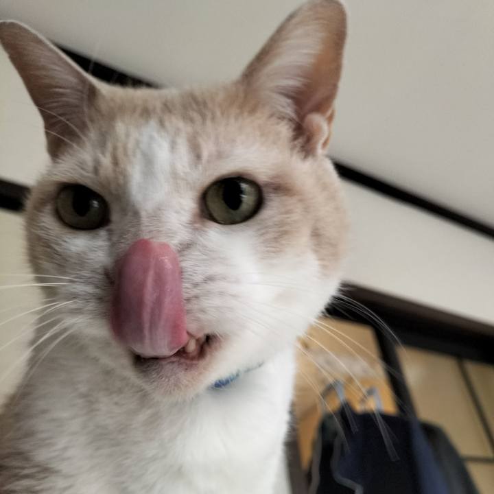 31f97754 4338 43bc 84d2 5029004115f3 1646088296474