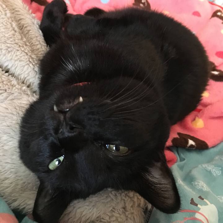 31f9856e 4b26 4a62 87c9 e98f7bc7a5e6 1550018821477