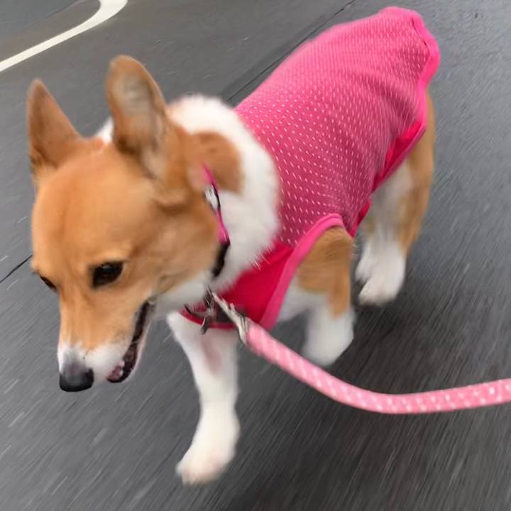 31f9b343 0113 4b39 8ec8 48d200ef93da 1629187442915