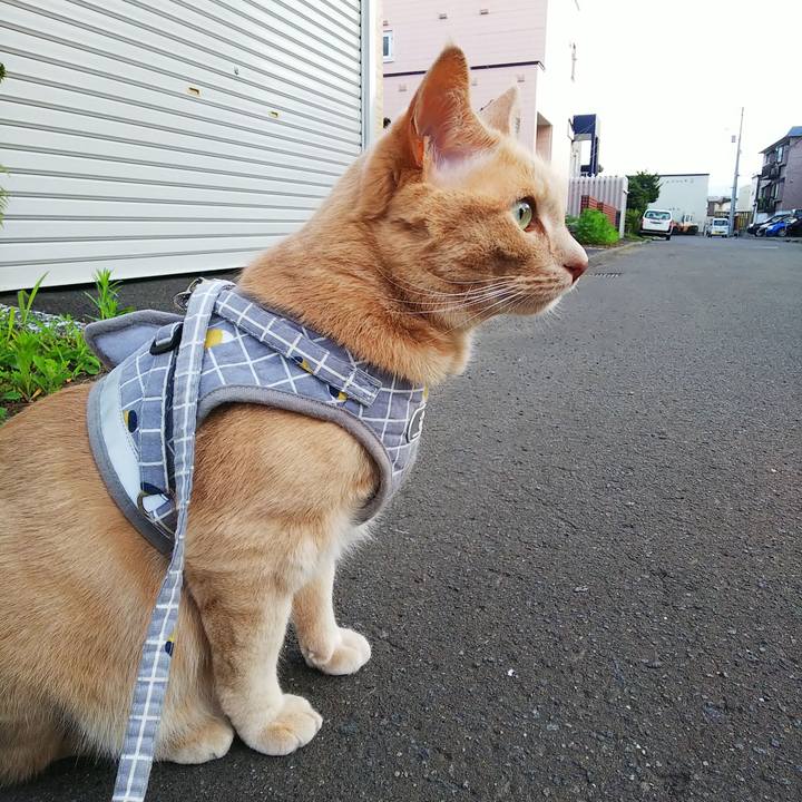 31f9c711 3007 4f2c 9063 71ad8f48e462 1690107227532