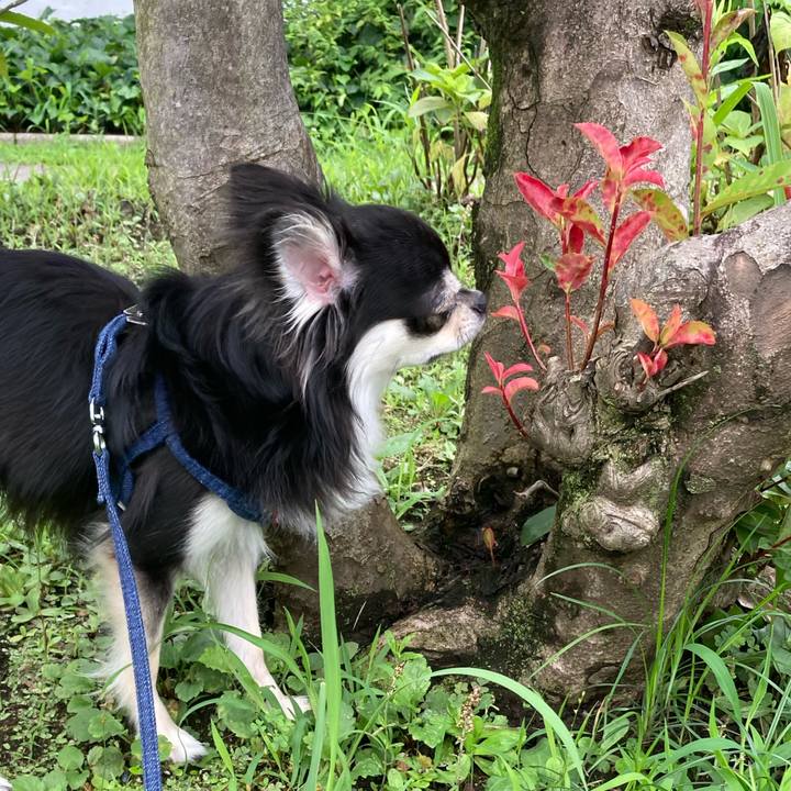 31f9c8df 0061 4302 9a08 178286e62ef8 1625980015564