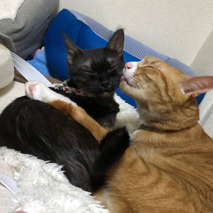 31f9fed2 7697 41ae b921 1d2783c17166 1635332464102