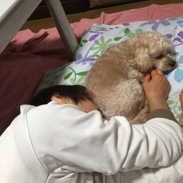 31fa22ee 514b 4dc3 8350 a43c92a819d2 1540738423260