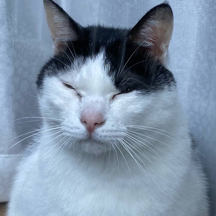 31fa32a7 a587 46a5 beb0 14c1f06651dd 1604920829635