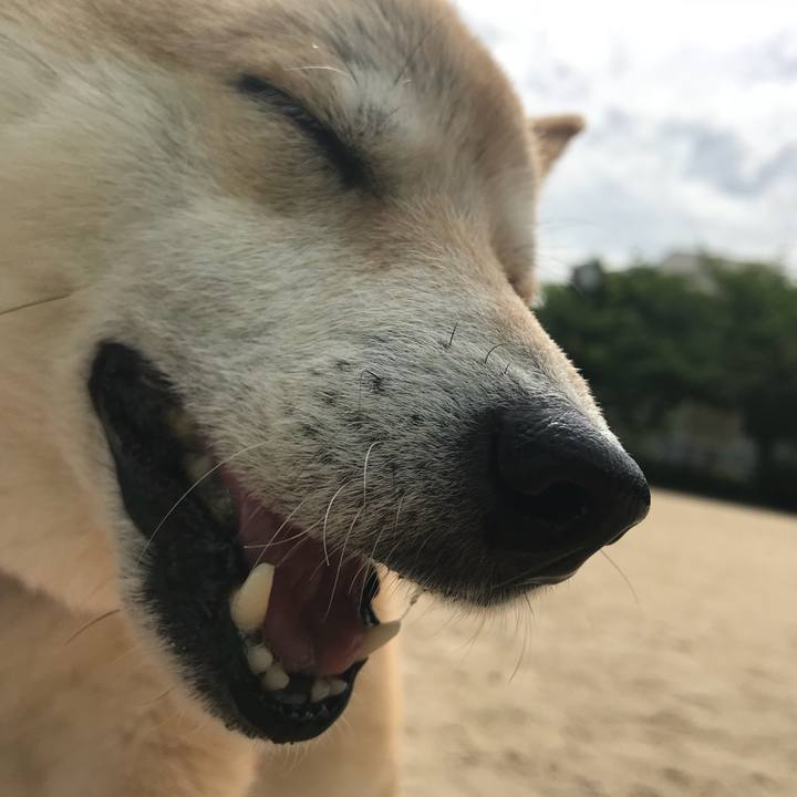 31fa3451 1eee 4ad9 8204 7216f54a9308 1527569315836