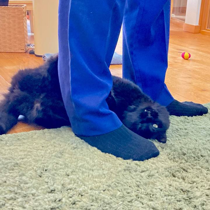 31fa42ce ca65 49de bb36 5d3cc484d9b5 1759795554779