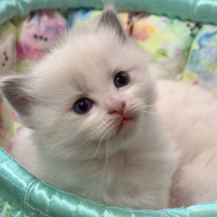 31fa8f73 890a 41c5 8157 32d4a8b08630 1750197166349