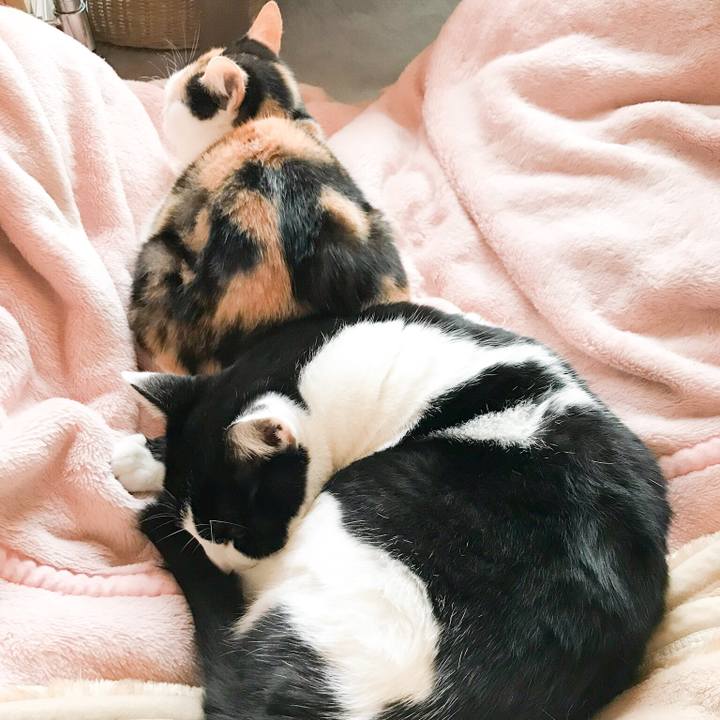 31fac09b cdfb 4a69 93d0 03168065e989 1511945466192