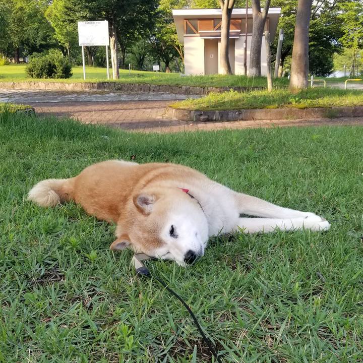 31faf18f c6f8 4bcf ad75 56a6ec5fb6c3 1720083480116