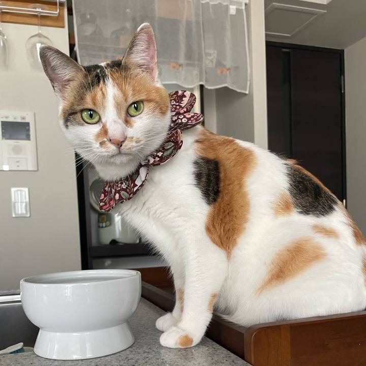 31fb14fd 2e28 42d6 af95 ea0185fa866f 1756683112023