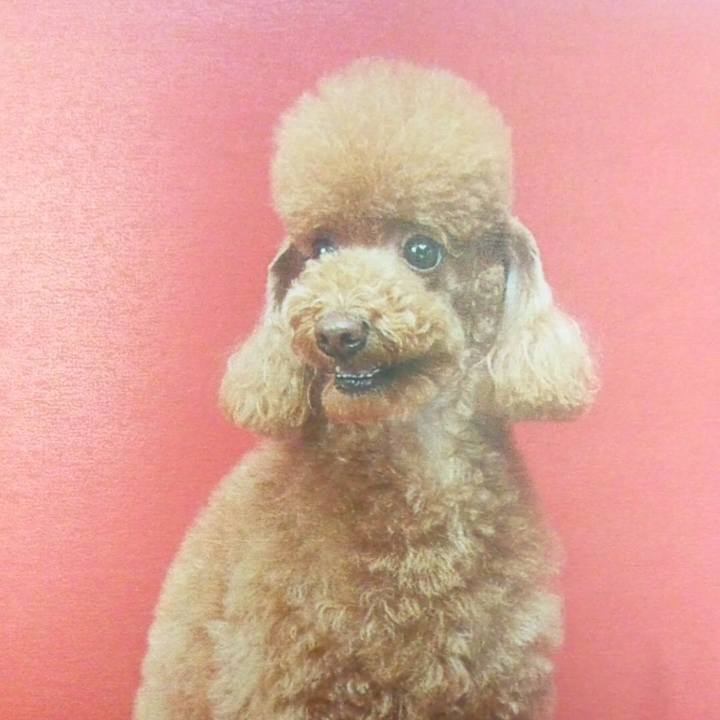 31fb3613 29a9 42ee 9d05 1dc49a3a3e1a 1678699561116