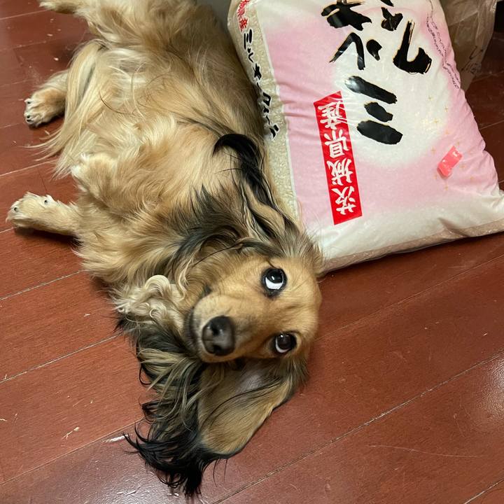 31fb4ca7 4c5c 4e48 8168 f43cce993235 1677675085513