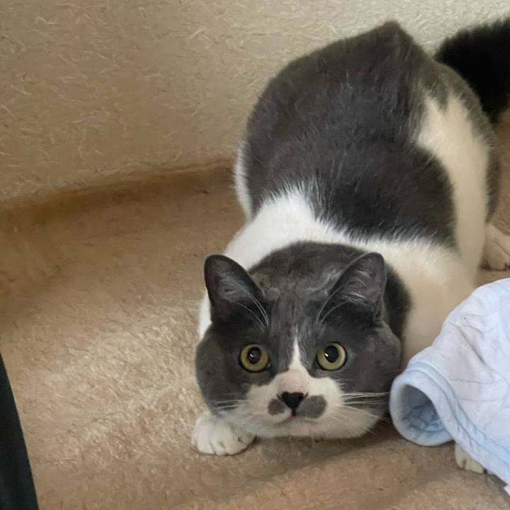 31fb500c 591d 4c9f a6f8 18c68a678ebd 1740034629022