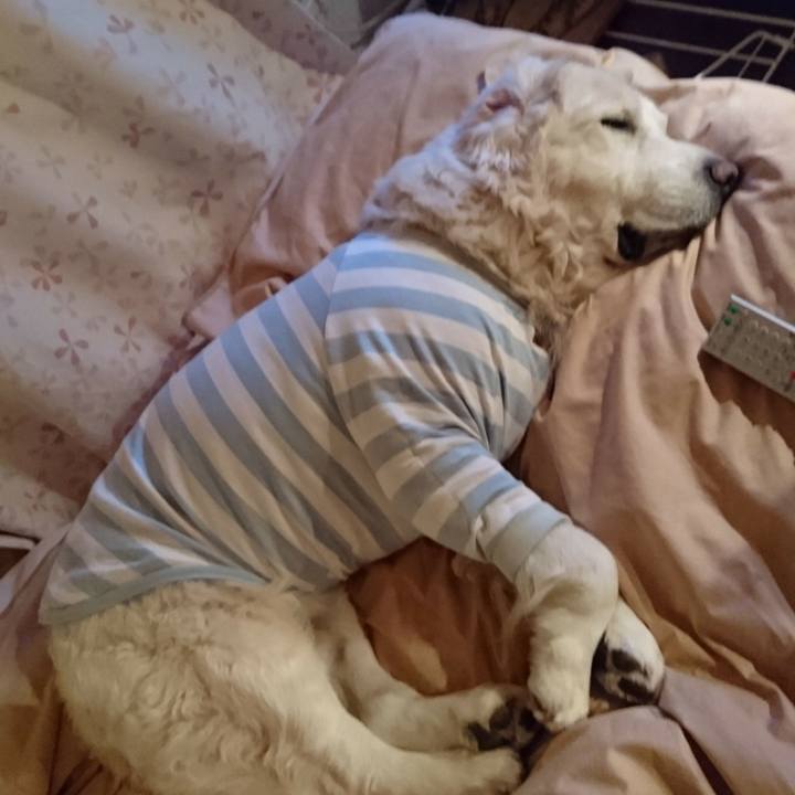 31fb6f7b 1bc0 42b5 ae17 0855d7b3614c 1517141927916