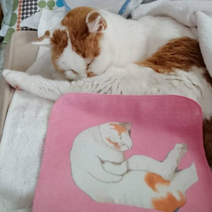 31fbf3ec b969 4973 a3fb 605cae30c721 1553211550270