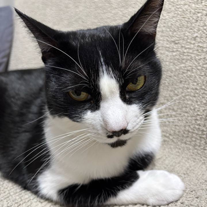 31fc1697 eaa6 4c03 acb8 193dd8f999a5 1769996845223