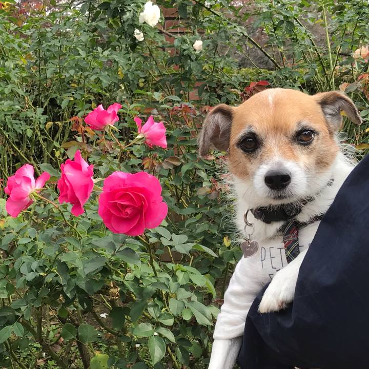 31fc2591 5612 4819 a32b acbbf935bf79 1543212301805