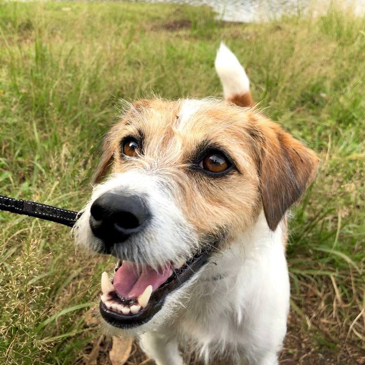 31fc630e 9308 42af 819f daad3dc35adb 1572612643332