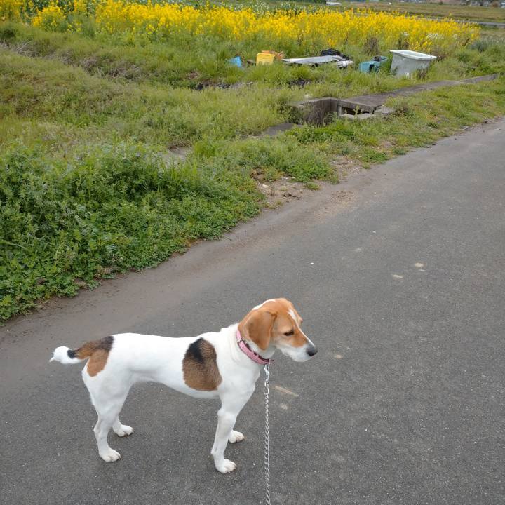 31fc6711 b334 4731 9827 2ea81fc0d041 1585379536603