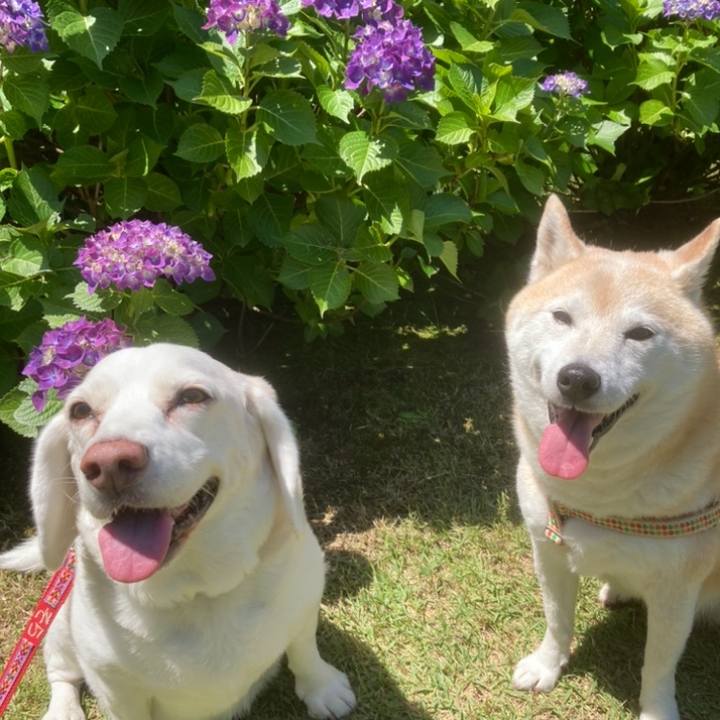 31fc86b8 7f39 4e9b 8836 f3ebdaeb1699 1636292885384