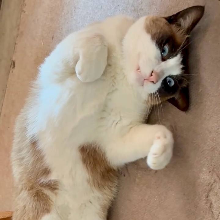 31fccb24 8cd3 4284 8626 81956c032ffc 1745893468483