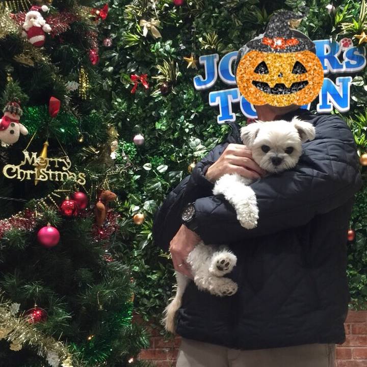 31fccc9b bbdf 419c b774 9c58c7d611e5 1512393377405