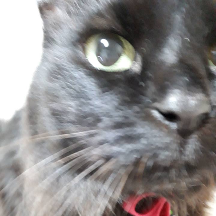 31fd0e55 e08a 4e5e a053 5f6846234556 1517168772943