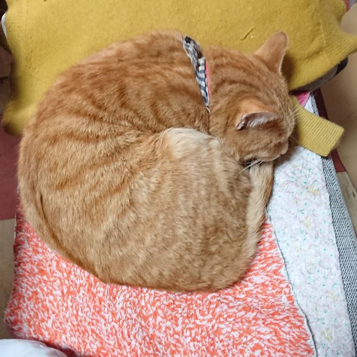 31fd198a 1b5f 4810 92e5 ed1dc6c89473 1572743987181