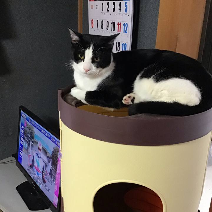 31fd2056 e099 4978 a9f7 8c7820107887 1644455307813