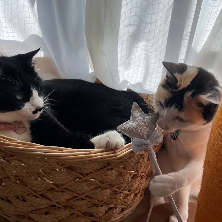 31fd5b2d 2b7e 4cf6 ba3d d41ddbd586b3 1715902425170