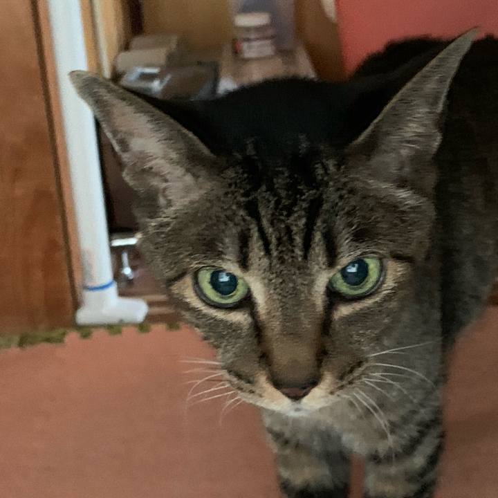 31fd5e79 1e06 4bd0 81a1 3660a49c850e 1593994505639