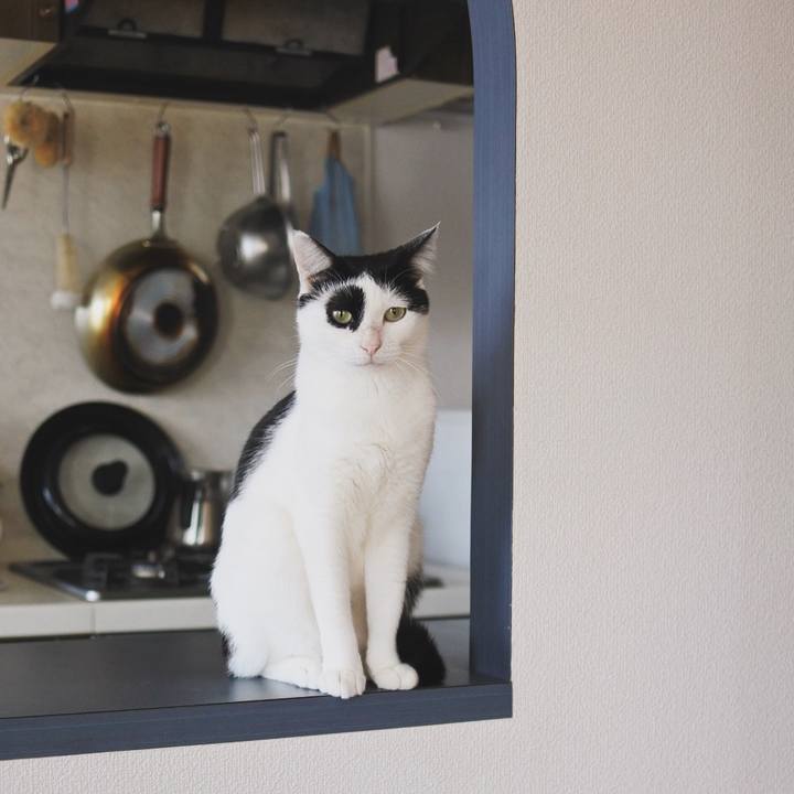 31fd6766 0291 40fd b2bc c95390910bad 1714462680910