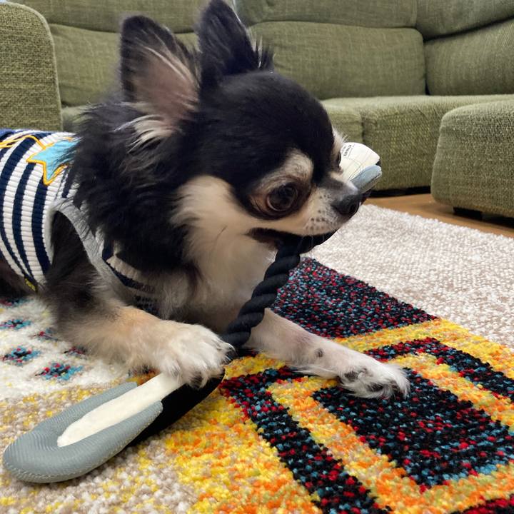 31fd7ef4 7f72 44f5 ab15 8fd14618f8d9 1685806983212