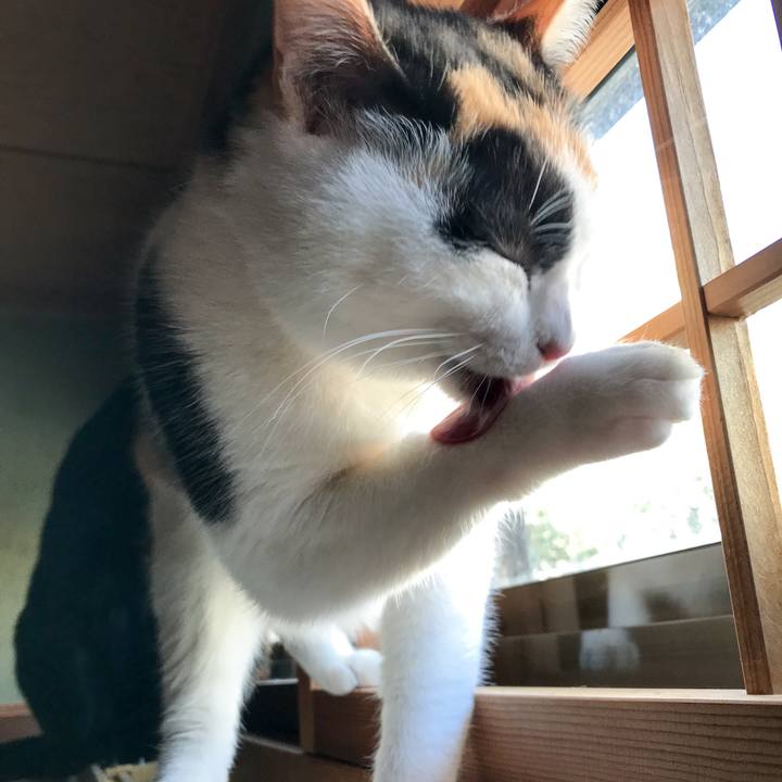 31fdea68 b5ef 4d55 a0e6 cbf0ce5e7aff 1516322866189