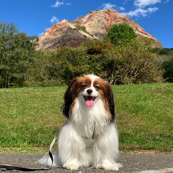 31fe2000 3551 44e5 a8e8 9a355a56613c 1695595896695