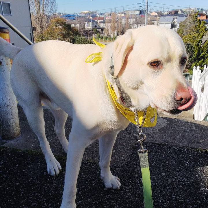 31fe267a 9f4a 4502 84c1 12608ae3a1b9 1515727388381