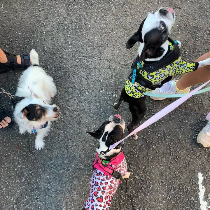 31fe3877 962f 4bbc b344 4a62f052acd0 1724626633012