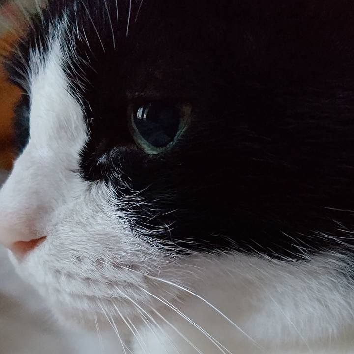 31fe3a74 61ec 4bb5 95ac a842d427299c 1626511544192