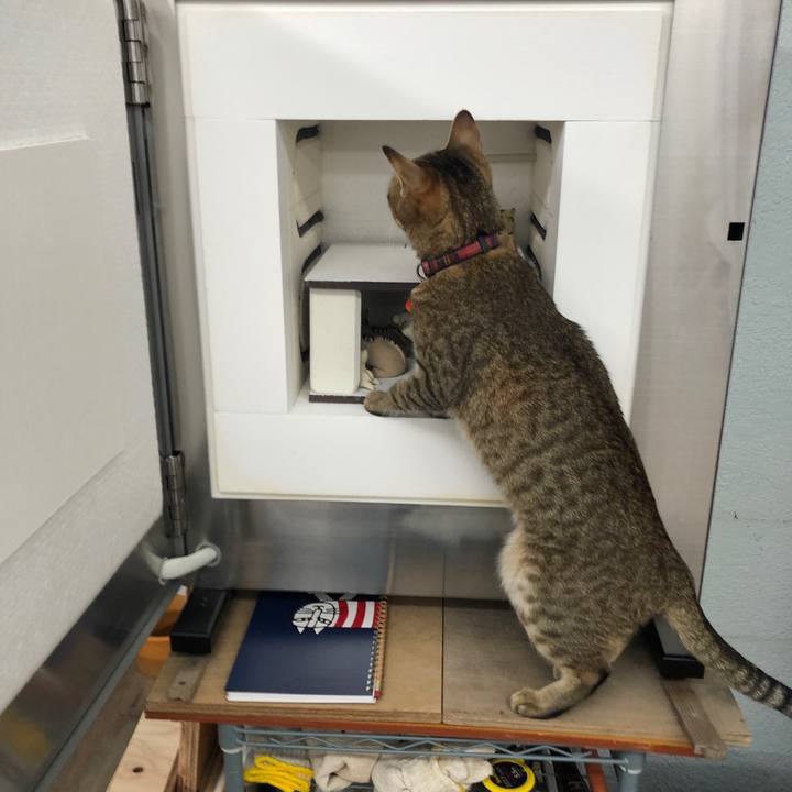 31fe6ce3 89c7 4225 bbd0 050d698df2a3 1639913390873